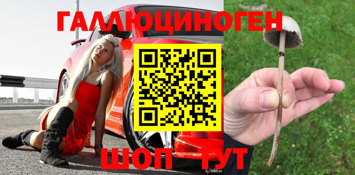 Псилоцибиновые грибы мухоморы  сколько стоит  Вход с VPN  Приморско-Ахтарск  Галлюциногенные грибы Magic Shrooms 